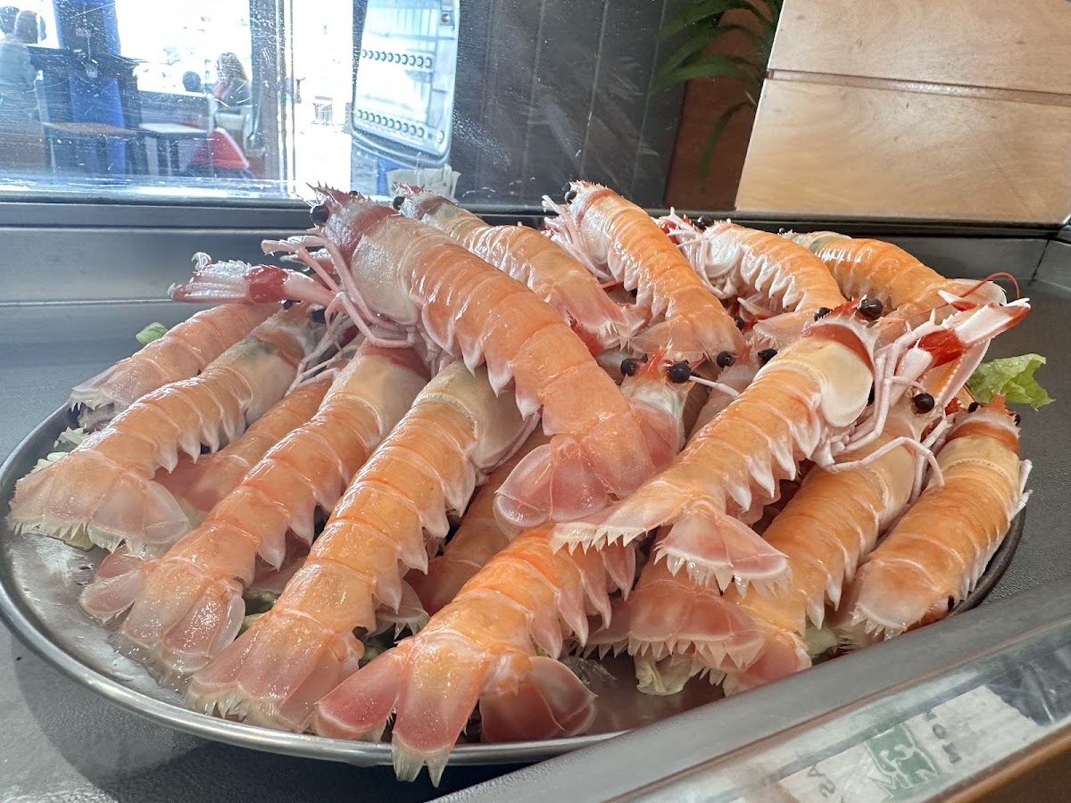 Restaurante Club Nautico De Benidorm-3